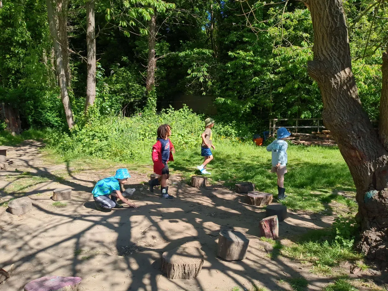 Children running freely between tree stumps in dappled woodland light