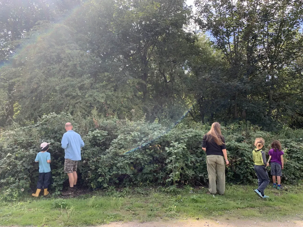 A family foraging for blackberries together along a hedgerow