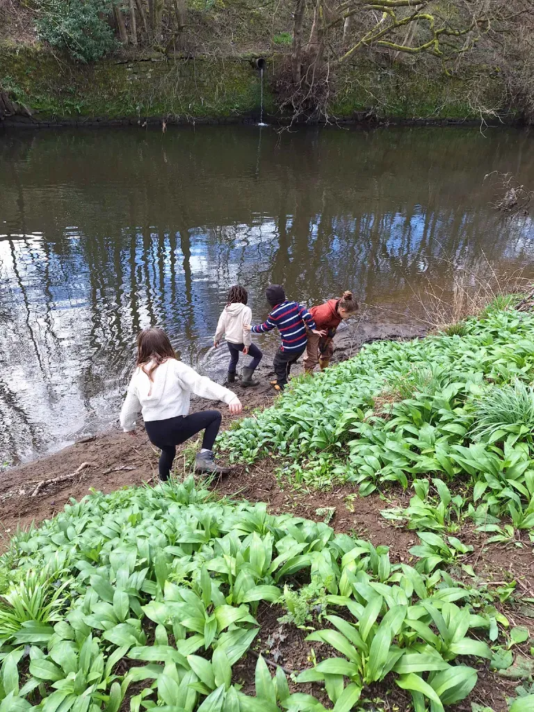 Four children wading down a muddy bank toward a river, surrounded by wild garlic