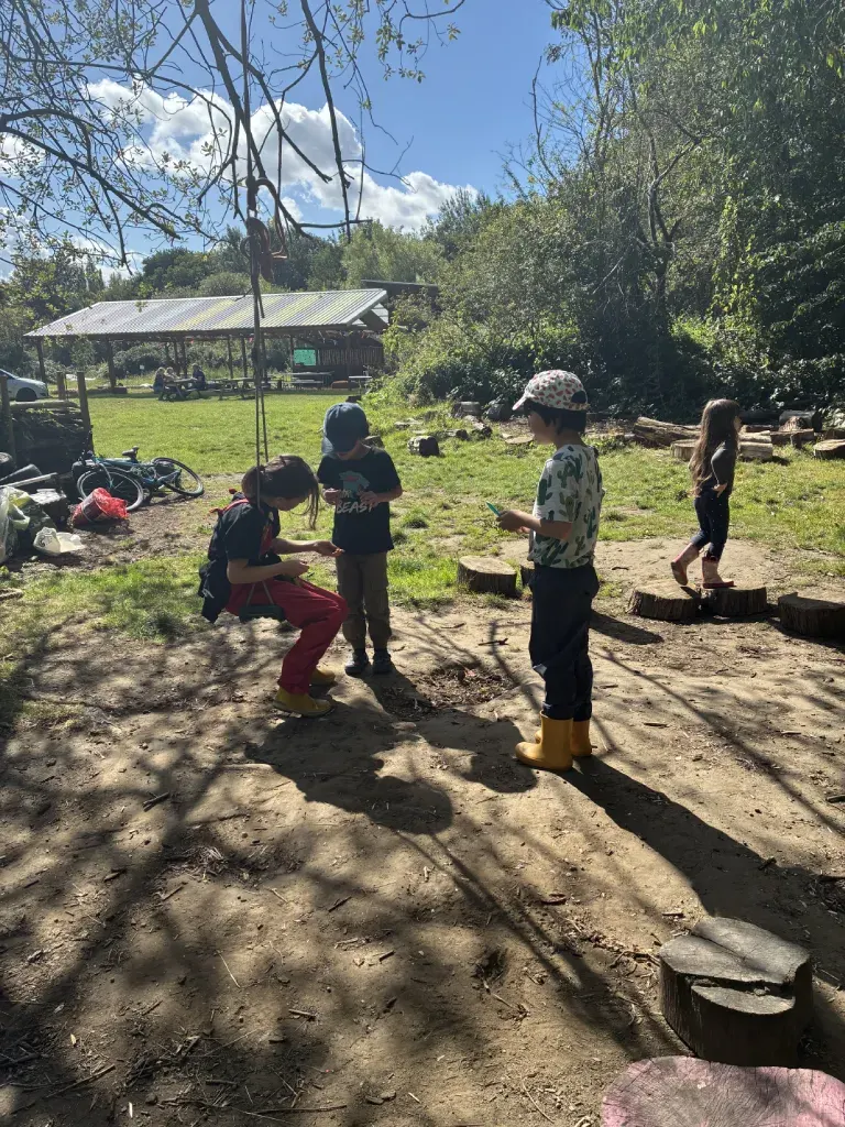 Children walking toward a rope swing under a bare tree, backlit by low winter sun